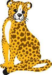 Cheetah image