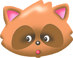 Racoon face image