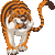 Tiger botton