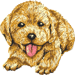 Golden Retriever puppy webdesign