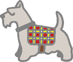 Schnauzer / Terrier illustration