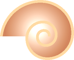 Shell illustration
