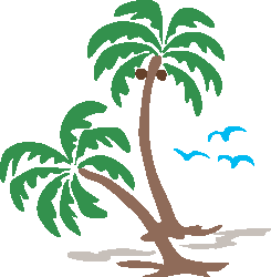 Palm trees image