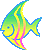 Angelfish graphic design
