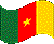 Flag of Cameroon clipart icon