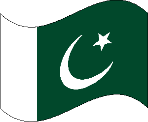 Flag of Pakistan clipart picture