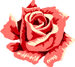 Rose clipart