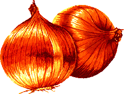 Onions graphic