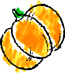 Pumpkin illustrations