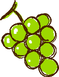 Muscat Grapes illustration