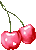 Cherries banner