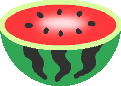 Watermelon illustration