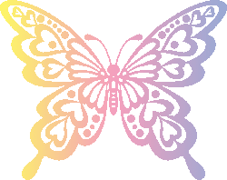 Butterfly image