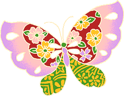Butterfly web graphic