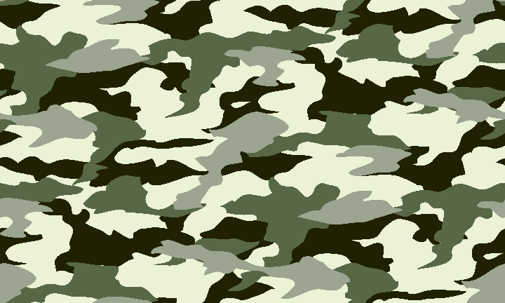 Camouflage Design-1 image