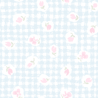 Gingham Check(Rough Drawing) background